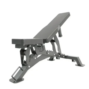 Gym Fitness Adjustable Dumbbell Bench Multi Functional Sit up Training Weight Lifting Bench Press