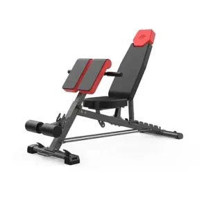 th Finer Form Multi-Functional Gym Bench for Full All-in-One Body Workout – Versatile Fitness Equipment for Hyper Back Extension